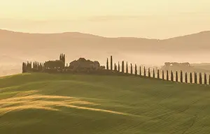 Val Dorcia Prints: Poggio Covili and avenue of cypress trees at dawn
