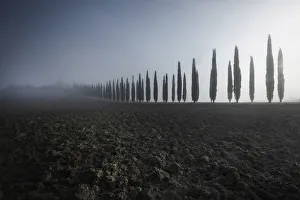 Dorcia Prints: Poggio Covili covered with fog during autumn, Val d Orcia, Tuscany, Italy