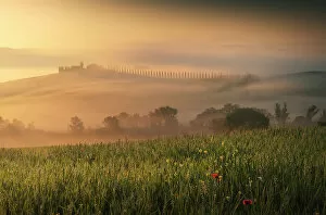 Images Dated 24th January 2023: Poggio Covili rising through the thick morning. Val d'Orcia, Tuscany, Italy