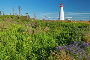 Point Prim Lighthouse Prints: Point Prim Lighthouse and wildflowers Point Prim, Prince Edward Island, Canada
