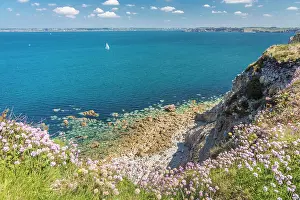 Spring Mood Prints: Pointe de Grand Gouin, Camaret-sur-Mer, Finistere, Brittany, France