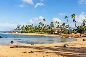 Turtles Prints: Poipu Beach, Kauai, Hawaii, USA, North America