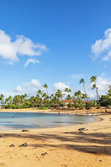 Turtles Prints: Poipu Beach, Kauai, Hawaii, USA, North America