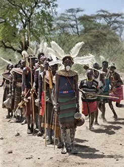 Ostrich Feathers Collection: The Pokot have a small ceremony called Koyogho when a man pays his in-laws the balance of