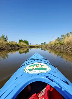 Activity Prints: Poland, Warmian-Masurian Voivodeship, Elblag, Kayaking near Druzno Lake