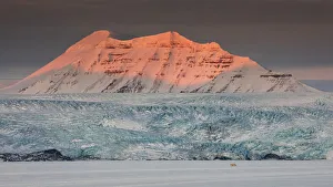 Northern Region Gallery: Polar bear (ursus maritimus) in Billefjorden, near Pyramiden, in western Spitsbergen