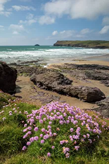 Images Dated 1st September 2021: Polzeath beach, Cornwall, England, UK