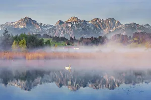 Swabia Prints: Pond in alpine upland - Germany, Bavaria, Swabia, Forggensee, Rosshaupten