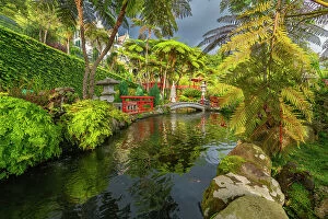 Images Dated 7th August 2023: Pond amidst plants in Oriental Gardens, Monte Palace Tropical Garden, Funchal, Madeira, Portugal