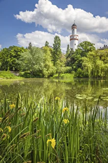 Rhine Main Prints: Pond in the palace gardens of Bad Homburg vor der Hohe, Taunus, Hesse, Germany