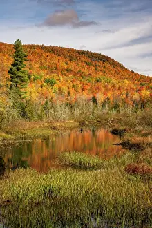 Adirondacks Prints: Pond reflection, Adirondack Mountains, New York, USA