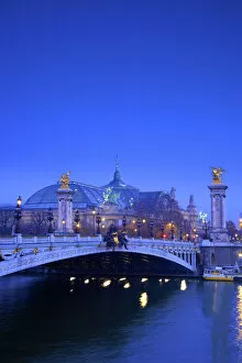 Images Dated 21st January 2014: The Pont Alexandre III and Grand Palais, Paris, France, Western Europe