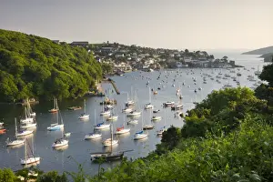 Pont Pill, Polruan and the Fowey Estuary from Hall Walk near Bodinnick, Cornwall, England