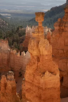 Images Dated 7th January 2020: Popular rock formation (hoodoo) named Thors Hammer taken from Navajo Loop Trail