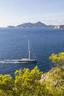 Port Andratx, Mallorca (Majorca), Balearic Islands, Spain