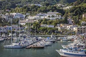 Ischia Prints: Port of Casamicciola Terme, Ischia Island, Gulf of Naples, Campania, Italy