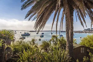 Bretagne Gallery: Port of the Ile de Batz, Finistere, Brittany, France
