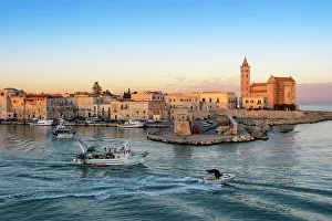 Wharf Prints: Port of Trani at sunrise. Europe, Italy, Puglia, Trani, Trani district