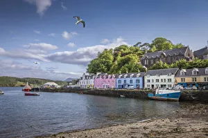 Portee Harbor, Isle of Skye, Highlands, Scotland, Great Britain