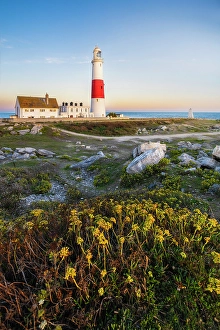 English Channel Prints: Portland Bill Lighthouse at sunset, Isle of Portland, Dorset, England, UK