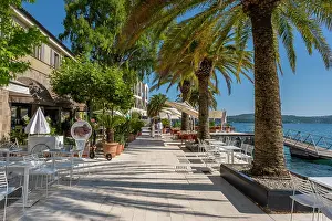 Tivat Prints: Porto Montenegro, Tivat, Bay of Kotor, Montenegro