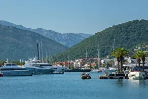 Tivat Prints: Porto Montenegro, Tivat, Bay of Kotor, Montenegro