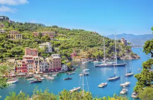Golfo Paradiso Prints: Portofino harbour, top view, Portofino, Liguria, Italy