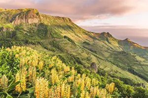 Flores Prints: Portugal, Azores archipelago, Flores island, Faja Grande