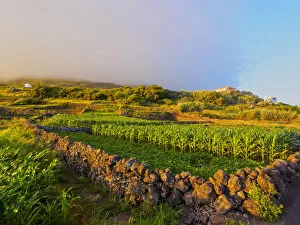Portugal, Azores, Corvo, Fields near Vila do Corvo