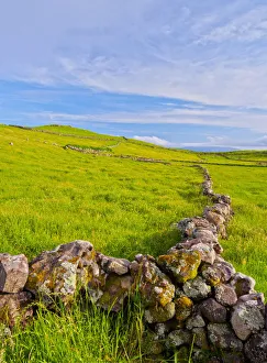 Images Dated 20th January 2016: Portugal, Azores, Corvo, Green Fields on the Island