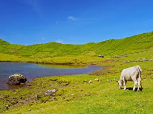 Portugal, Azores, Corvo, View of The Caldeirao do Corvo