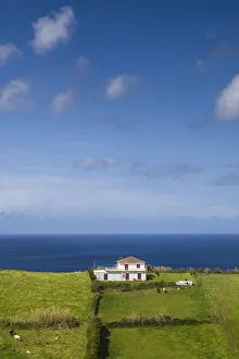 Faial Prints: Portugal, Azores, Faial Island, Espalamaca, house and field