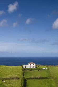 Portugal, Azores, Faial Island, Espalamaca, house and field