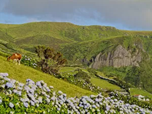 Portugal, Azores, Flores, Landscape of the island with Rocha dos Bordoes
