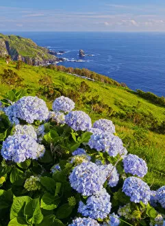 Acores Gallery: Portugal, Azores, Flores, View of the coast near Lajedo village