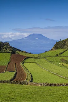 Portugal, Azores, Sao Jorge Island, Rosais of fields and the Pico Volcano