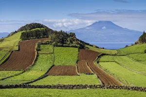 Images Dated 31st October 2017: Portugal, Azores, Sao Jorge Island, Rosais of fields and the Pico Volcano
