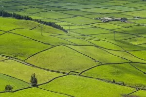 Green Gallery: Portugal, Azores, Terceira Island, Serra do Cume of fields, springtime