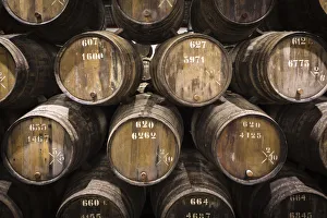 Port Wine Prints: Portugal, Douro Litoral, Porto. Barrels in the wine cellar of Taylors Port Lodge