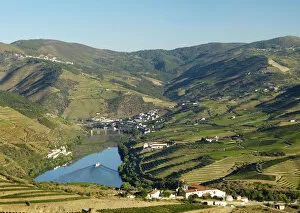 Portugal, Douro, Peso da ReguaTerraced vineyards