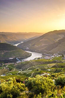 Portugal, Douro river at sunset, Terraced vineyards