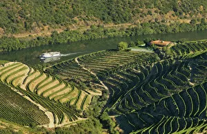 Portugal, Douro, Terraced vineyards and boat