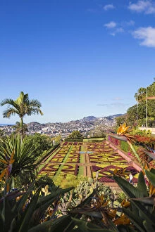 Images Dated 27th January 2020: Portugal, Madeira, Funchal