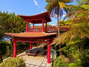Portugal, Madeira, Funchal, Monte, view of the Oriental Gardens in the Monte Palace
