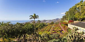 Images Dated 27th January 2020: Portugal, Madeira, Funchal, Monte, Botanical Gardens