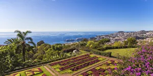 Portugal, Madeira, Funchal, Monte, Botanical Gardens