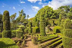 Portugal, Madeira, Funchal, Monte, Botanical Gardens