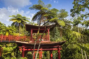 Images Dated 27th January 2020: Portugal, Madeira, Funchal, Monte, Monte Palace Tropical Garden, Oriental Gardens