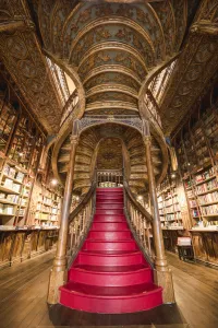 Images Dated 18th July 2018: Portugal, Norte region, Porto (Oporto). Lello Bookstore (Livraria Lello) and its