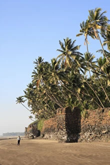 Images Dated 10th April 2008: Portuguese fort (XVI c.). Revdanda, Konkan coast, Maharashtra, India